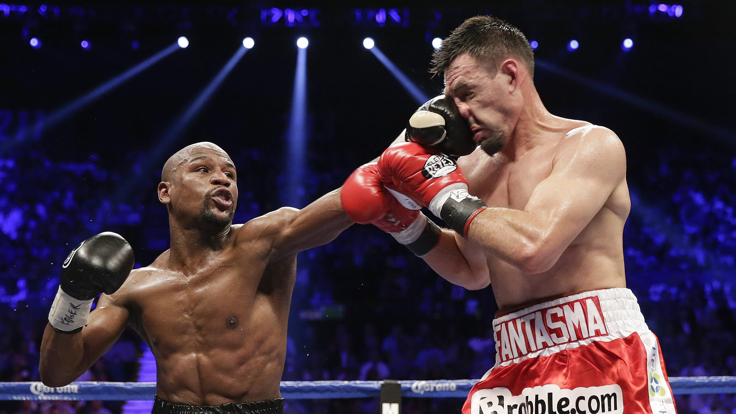 星空娱乐app-世界游泳锦标赛：中国队勇夺十金，高居金牌榜榜首，世界游泳锦标赛百科